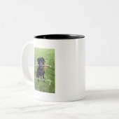 Schwarzes Labor mit zwei Sticks Foto und Name des Zweifarbige Tasse (Vorderseite Links)
