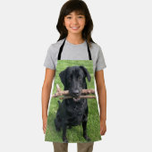 Schwarzes Labor mit zwei Sticks Hund-Foto Schürze (Insitu)