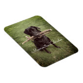 Schwarzes Labor mit zwei Sticks Hund Foto und Name Magnet (Rechte Seite)