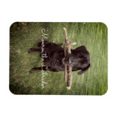 Schwarzes Labor mit zwei Sticks Hund Foto und Name Magnet (Horizontal)
