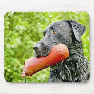 Schwarzes Labor Mousepad