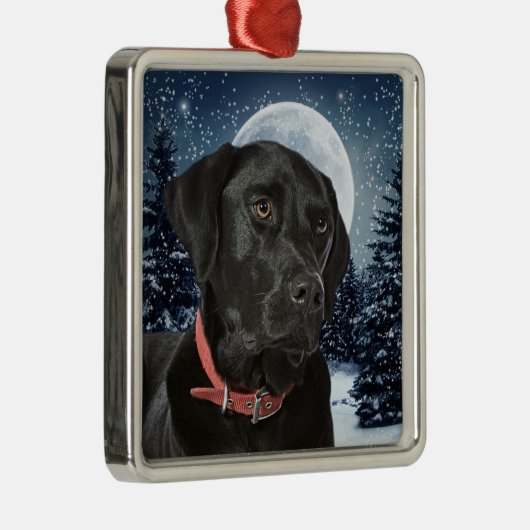 Schwarzes Labor Ornament Aus Metall (Rechts)