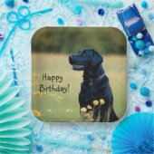 Schwarzes Labor Pappteller (Party)