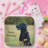 Schwarzes Labor Pappteller (Party)