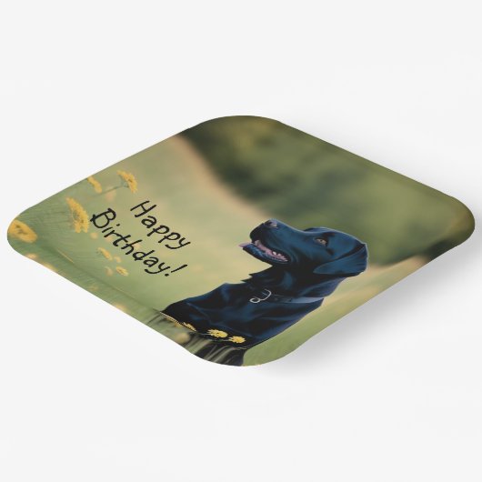 Schwarzes Labor Pappteller (Gewinkelt)