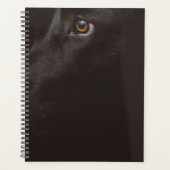 schwarzes Labor Planer (Vorderseite)