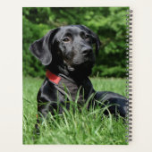 Schwarzes Labor Planer (Rückseite)