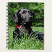 Schwarzes Labor Planer (Vorderseite)