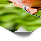 Schwarzes Labor Poster (Ecke)