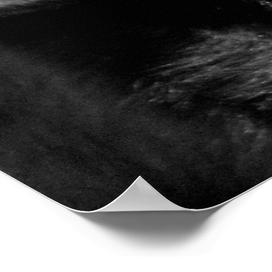 Schwarzes Labor Poster (Ecke)