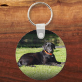 Schwarzes Labor Schlüsselanhänger (Vorderseite)