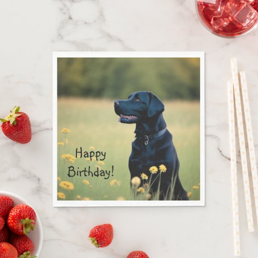 Schwarzes Labor Serviette (Beispiel)