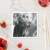 Schwarzes Labor Serviette (Beispiel)