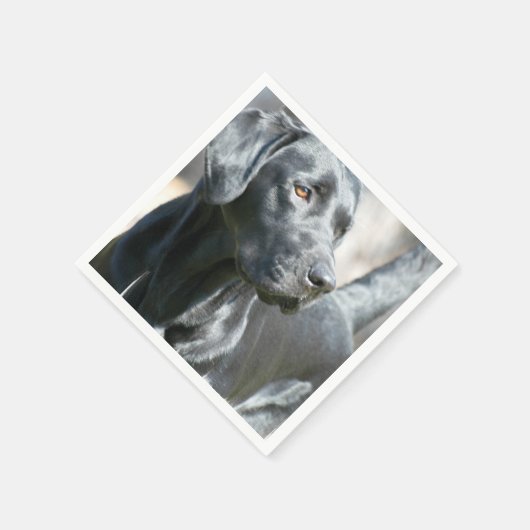 Schwarzes Labor Serviette (Ecke)