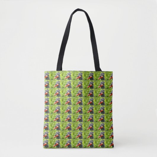 Schwarzes Labor Tasche (Vorderseite)