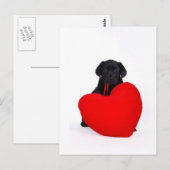 Schwarzes Labor und Herz Postkarte (Vorne/Hinten)