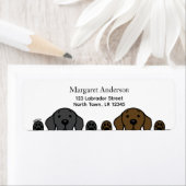 Schwarzes Labor und Schokolade-Labrador beobachten (Insitu)