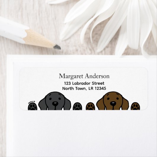 Schwarzes Labor und Schokolade-Labrador beobachten (Insitu)