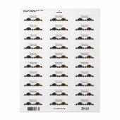 Schwarzes Labor und Schokolade-Labrador beobachten (Vorne)