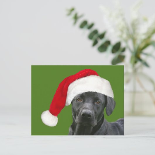 Schwarzes Labor Weihnachten (Stehend Vorderseite)