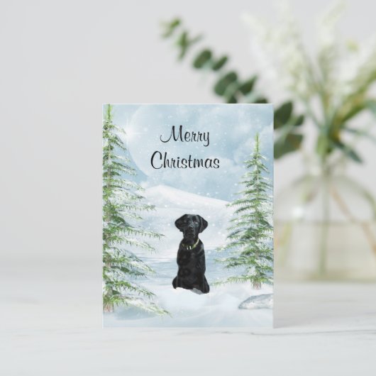 Schwarzes Labor Weihnachten (Stehend Vorderseite)