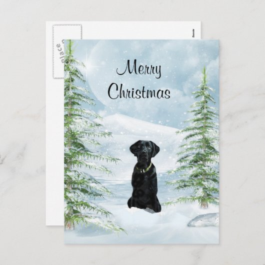 Schwarzes Labor Weihnachten (Vorne/Hinten)