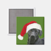 Schwarzes Labor Weihnachten Magnet (Vorderseite/Rückseite)