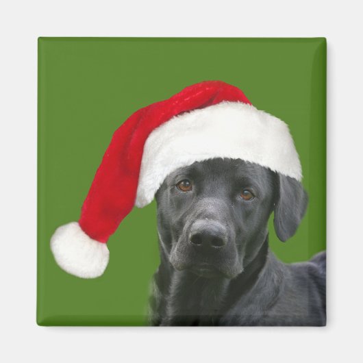 Schwarzes Labor Weihnachten Magnet (Vorne)
