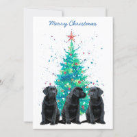 Schwarzes Labor Weihnachten Merry Labrador Niedlic
