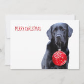 Schwarzes Labor Weihnachten - Niedliches Welpensch (Vorderseite)
