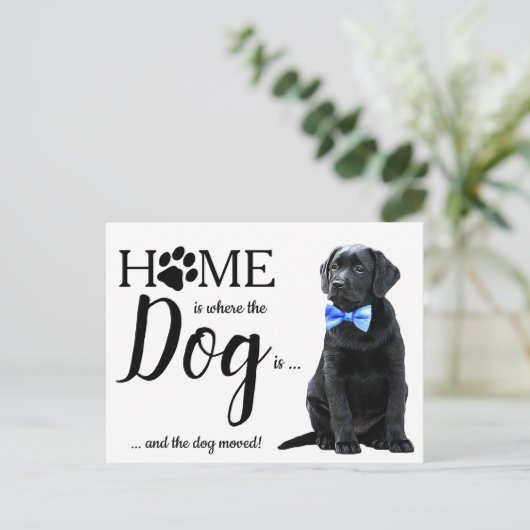 Schwarzes Labor Wir haben die Bewegung des Hundes Postkarte (Stehend Vorderseite)