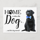 Schwarzes Labor Wir haben die Bewegung des Hundes Postkarte (Vorderseite)