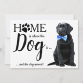 Schwarzes Labor Wir haben Hunde bewegt Ankündigung (Vorderseite)