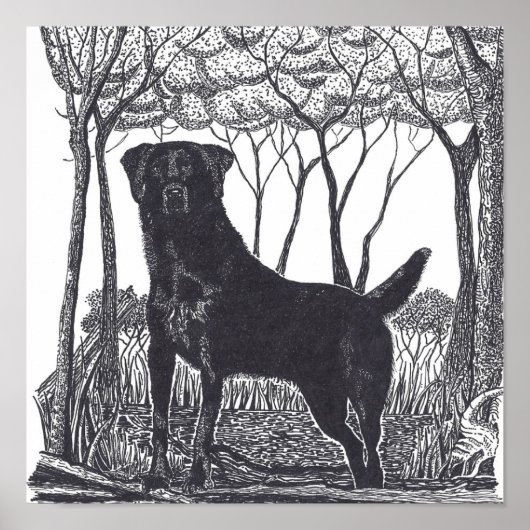 schwarzes Laborposter Poster (Vorne)