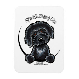 Schwarzes Labradodle IAAM Magnet