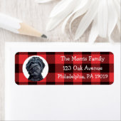 Schwarzes Labradoodle / Schwarzes Goldendoodle (Insitu)