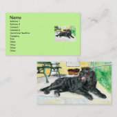 schwarzes Labradoodle Visitenkarte (Vorne/Hinten)