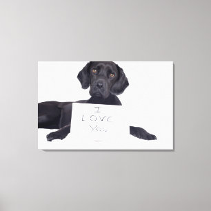 Schwarzes Labrador 13 Monate Leinwanddruck