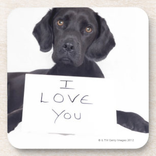 Schwarzes Labrador 13 Monate Untersetzer