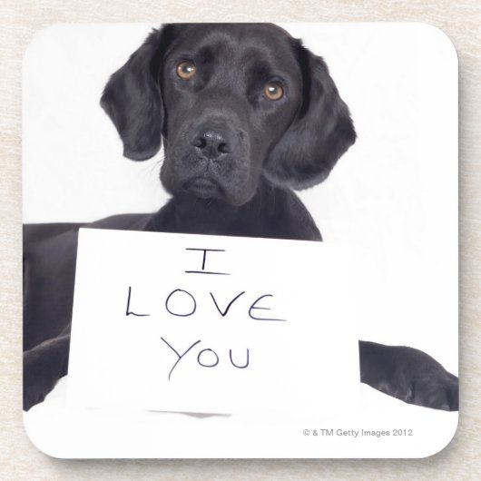 Schwarzes Labrador 13 Monate Untersetzer (Vorderseite)