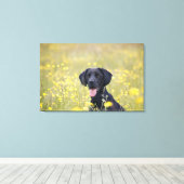 Schwarzes Labrador 16 Monate 2 Leinwanddruck (Insitu (Holzboden))