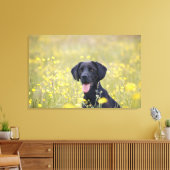 Schwarzes Labrador 16 Monate 2 Leinwanddruck (Insitu (Wohnzimmer))