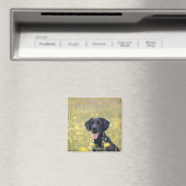 Schwarzes Labrador 16 Monate Magnet (In Situ (Geschirrspüler))