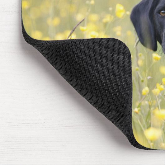 Schwarzes Labrador 16 Monate Mousepad (Ecke)