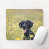 Schwarzes Labrador 16 Monate Mousepad (Mit Mouse)