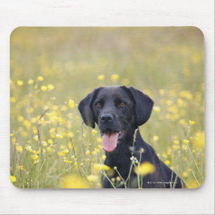 Schwarzes Labrador 16 Monate Mousepad