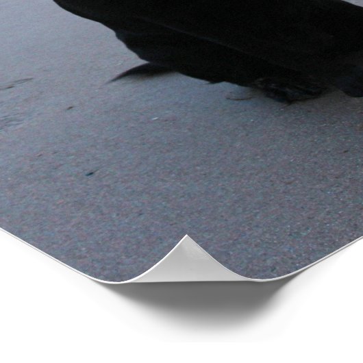 Schwarzes Labrador am Strand Poster (Ecke)