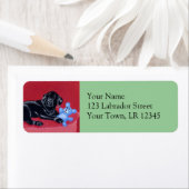 Schwarzes Labrador auf dem grünen Sofa (Insitu)