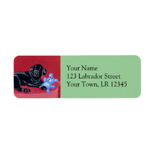 Schwarzes Labrador auf dem grünen Sofa
