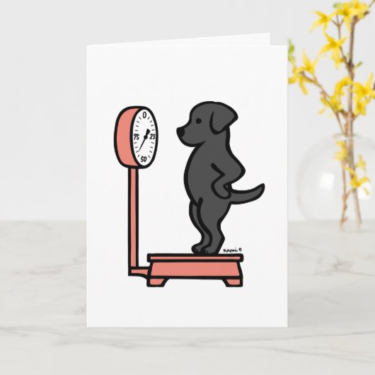 Schwarzes Labrador auf der Skala Karte (Gelbe Blume)